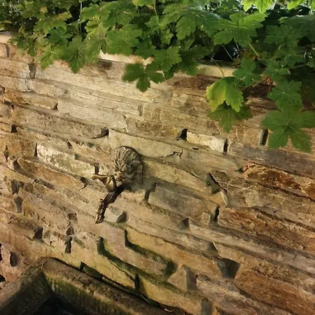 Pensionat Brigantina Nesebar