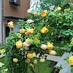 Penzion Brigantina 3*