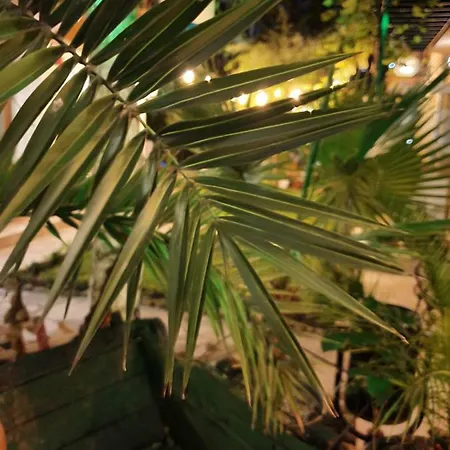 Гостевой дом Brigantina