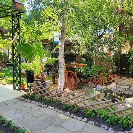 Brigantina Гостевой дом 3*